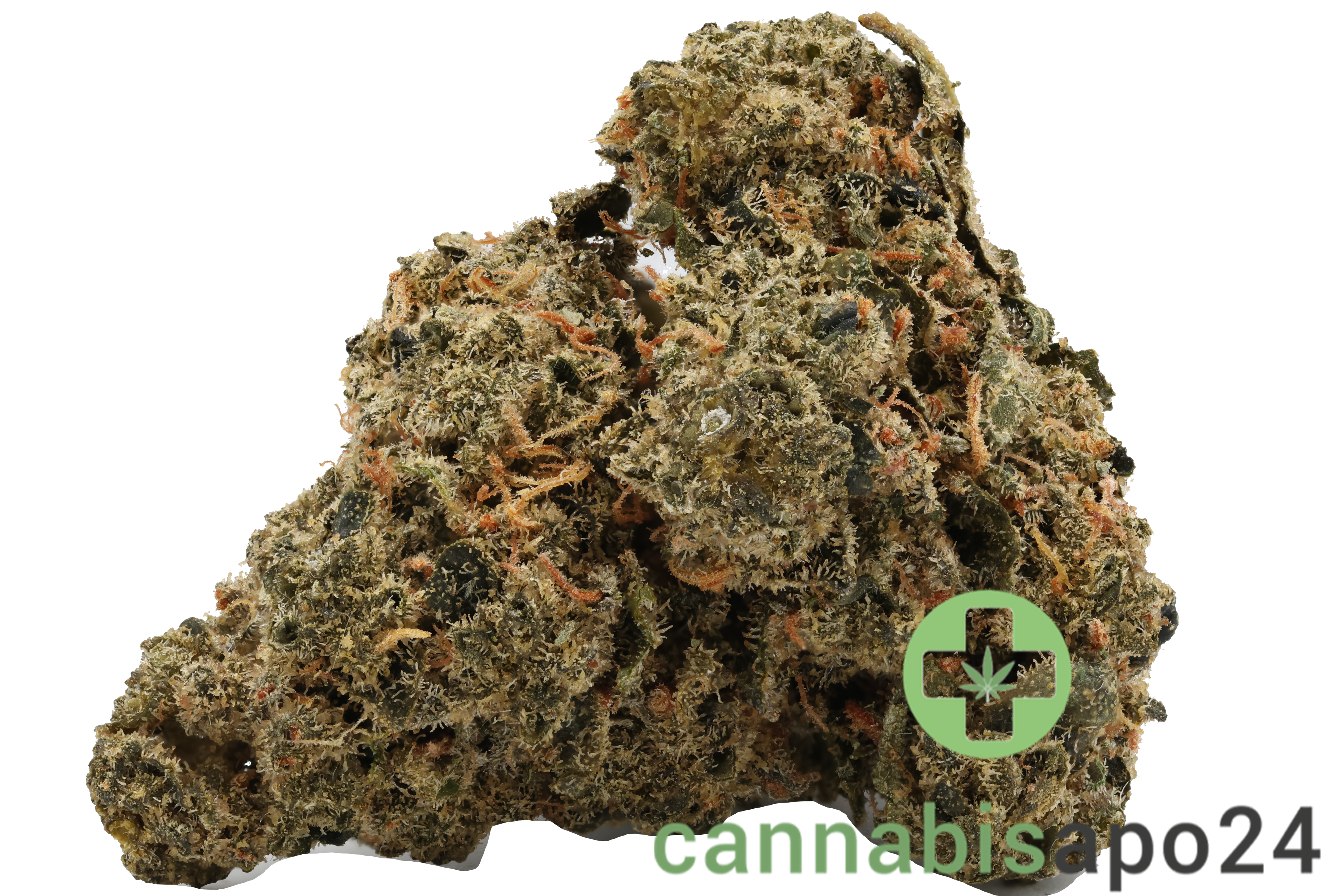 Costa Canna Dynamics - fortissimo