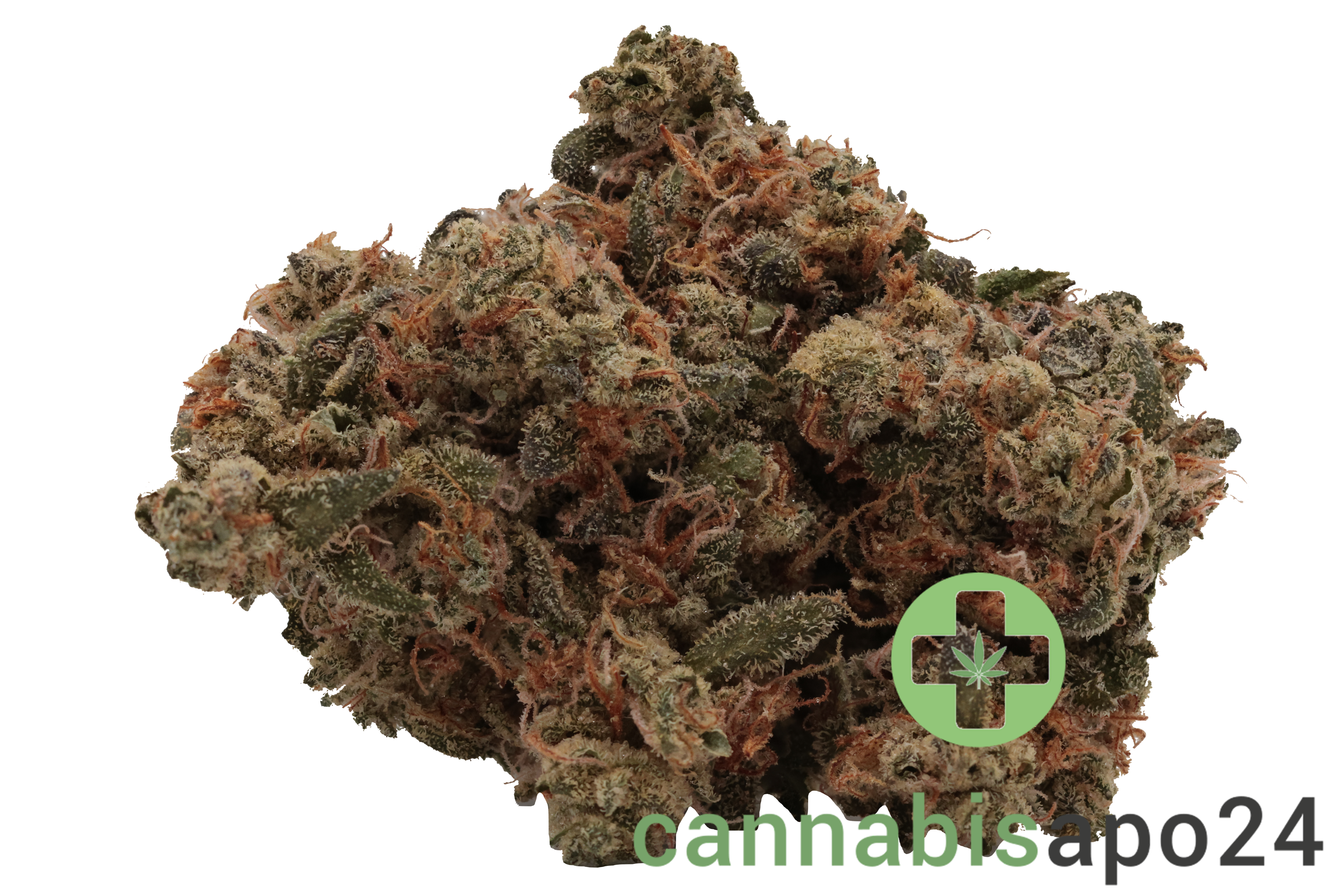 Enua 27/1 ZKM CA Zkittlez Kushmints