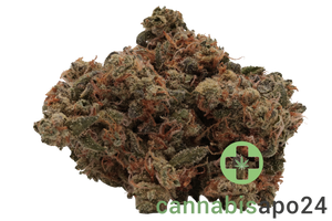 Enua 27/1 ZKM CA Zkittlez Kushmints