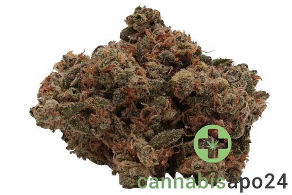 Enua 27/1 ZKM CA Zkittlez Kushmints