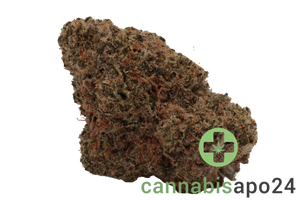 Enua 22/1 WCK CA La Kush Cake