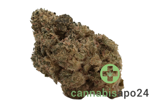 GROW 27 DC