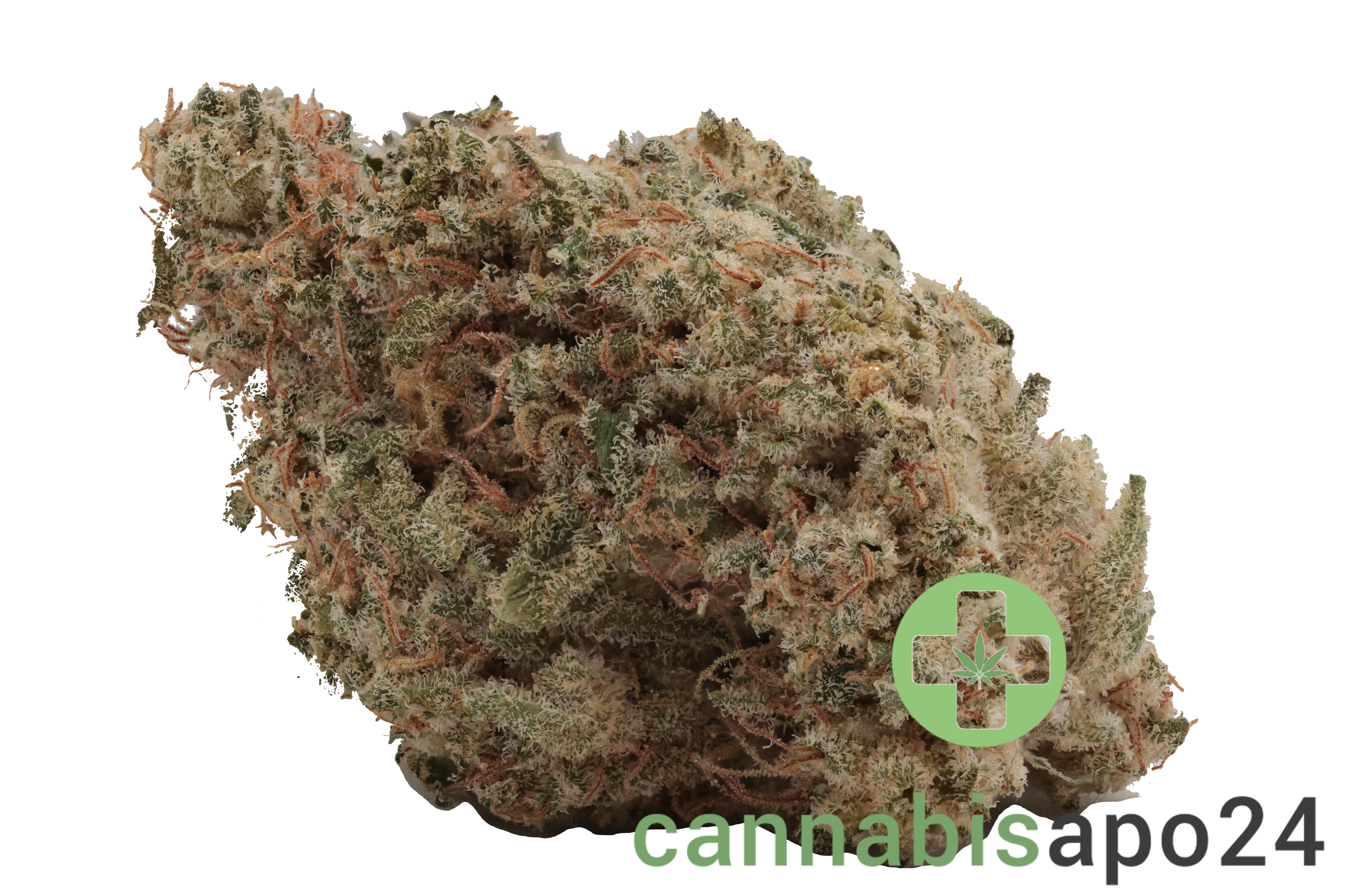 GROW 27 Pl