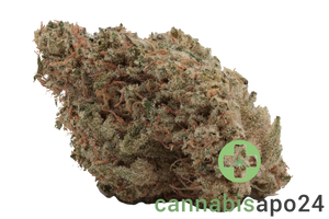 GROW 27 Pl