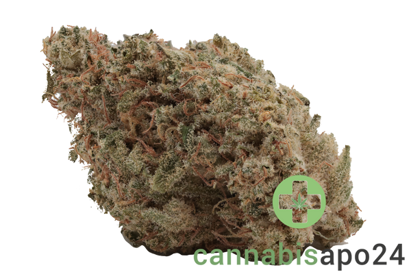 GROW 27 Pl