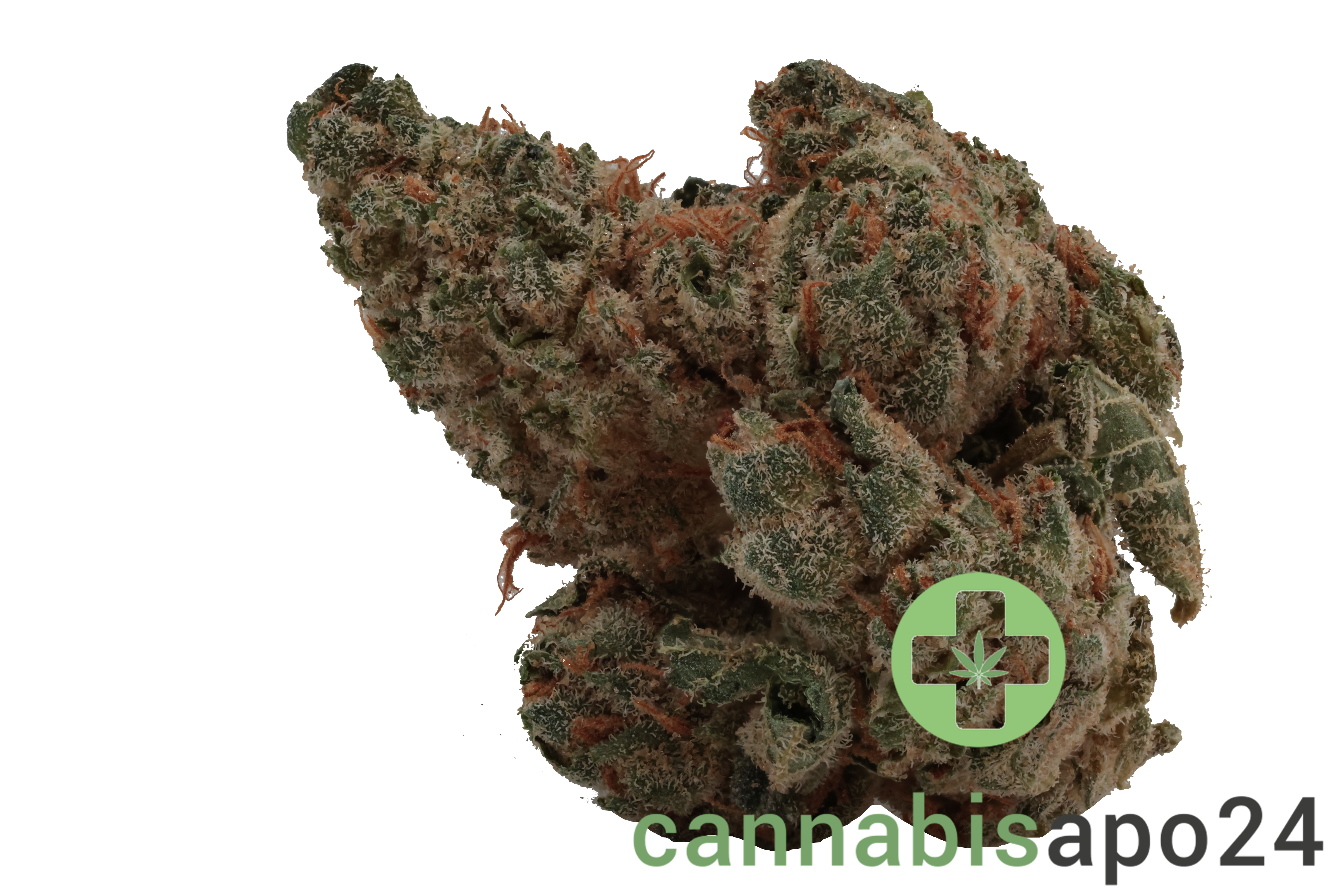 Huala 22/1 CA BTR Black Triangle