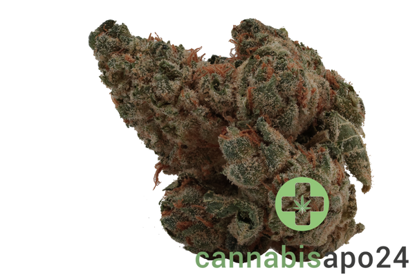 Huala 22/1 CA BTR Black Triangle