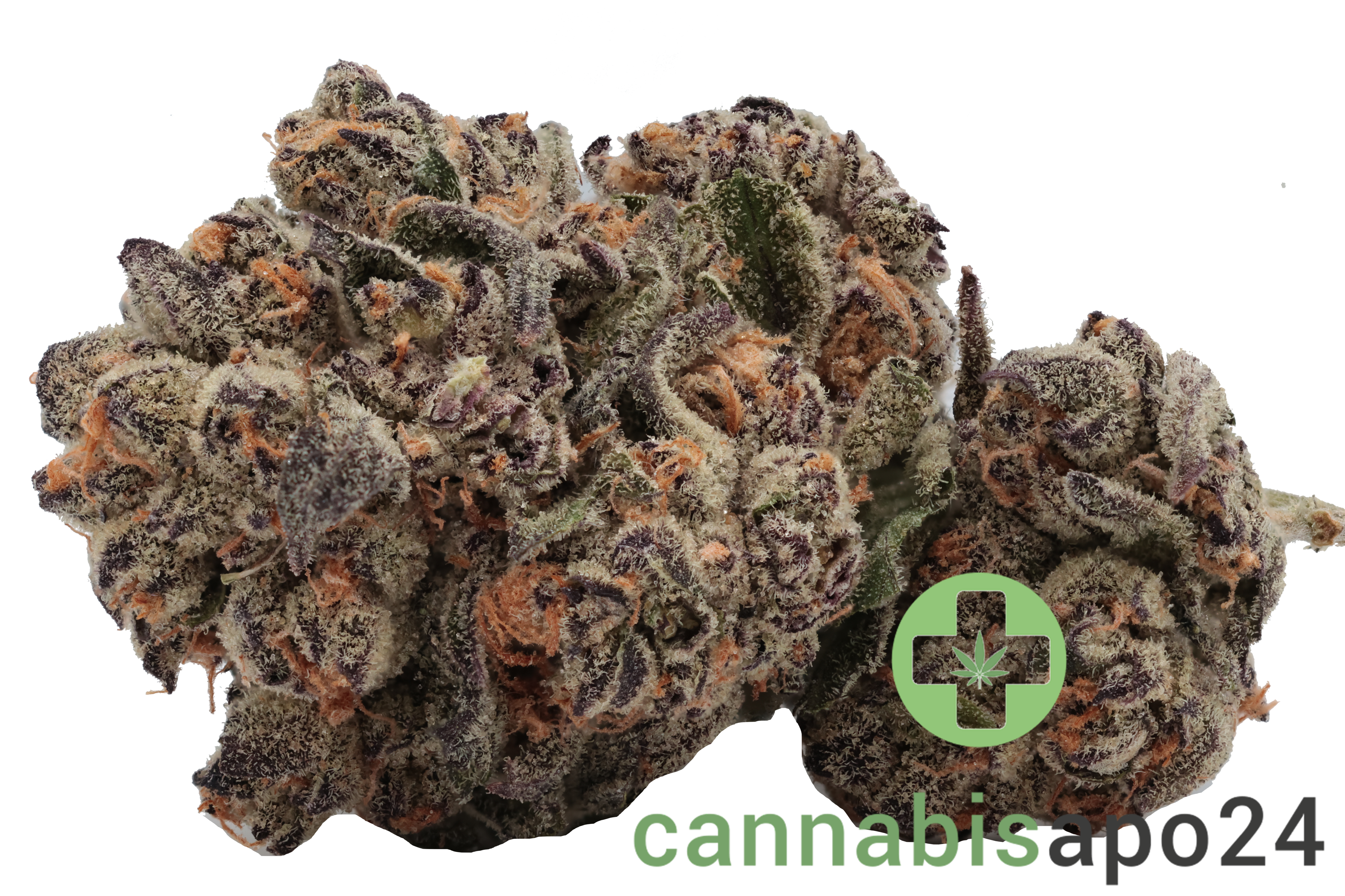 IMC GGA THC22 Purple Grape