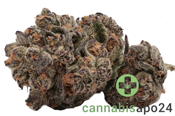 IMC GGA THC22 Purple Grape