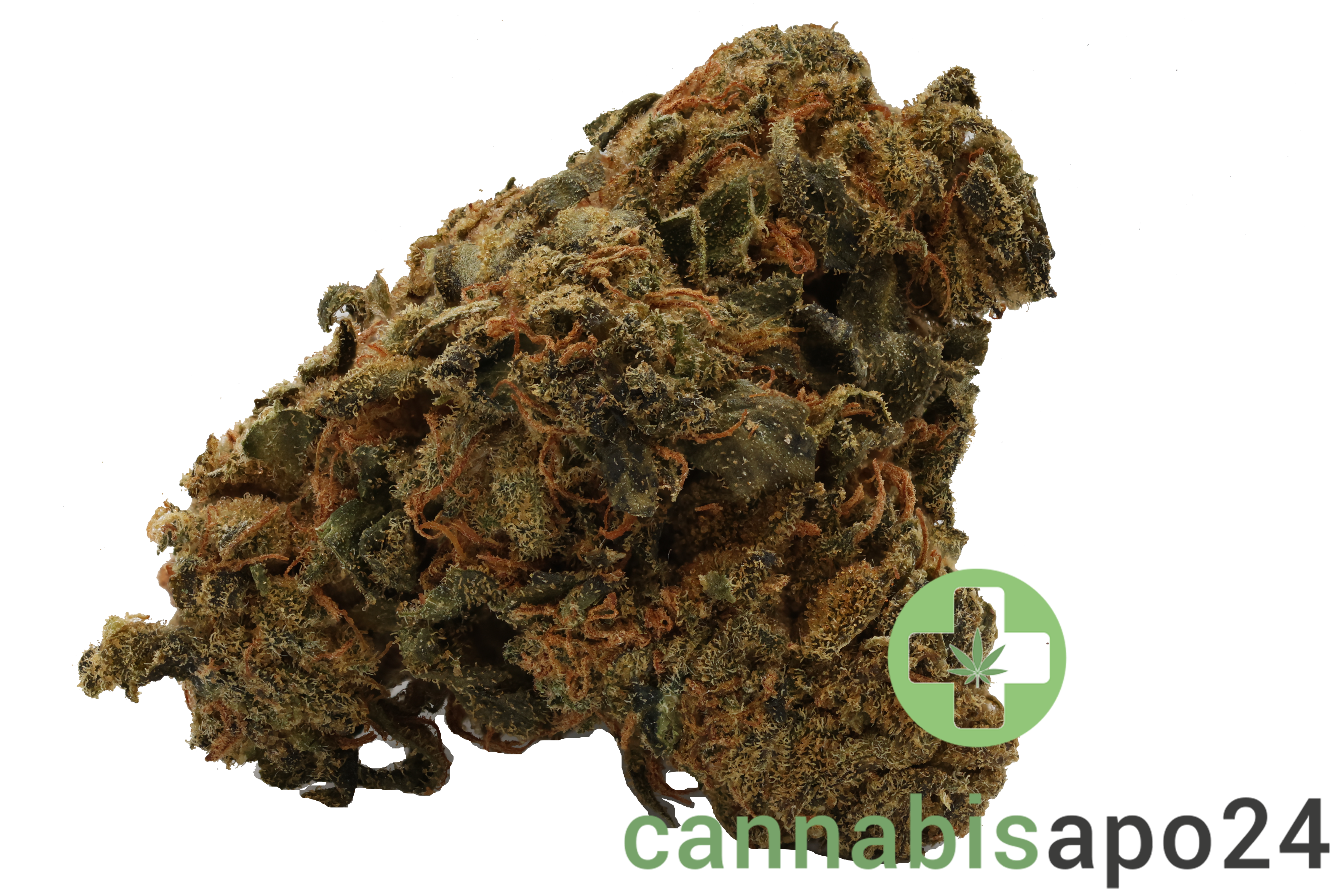 IMC THC 22 T01 Hindu Kush