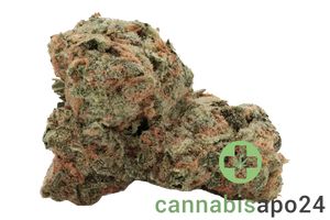 IMC THC 22 T05 Somango Skunk