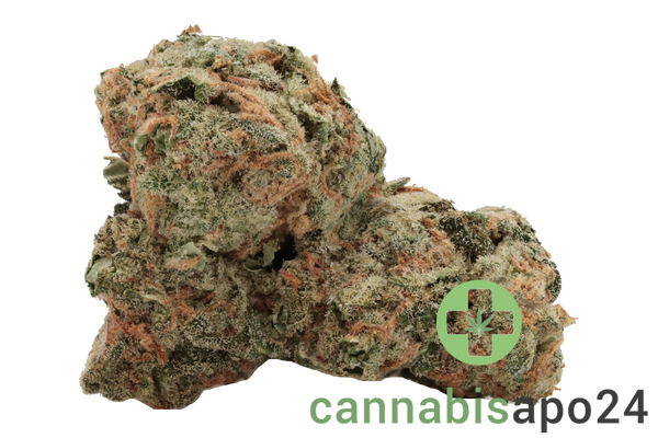 IMC THC 22 T05 Somango Skunk