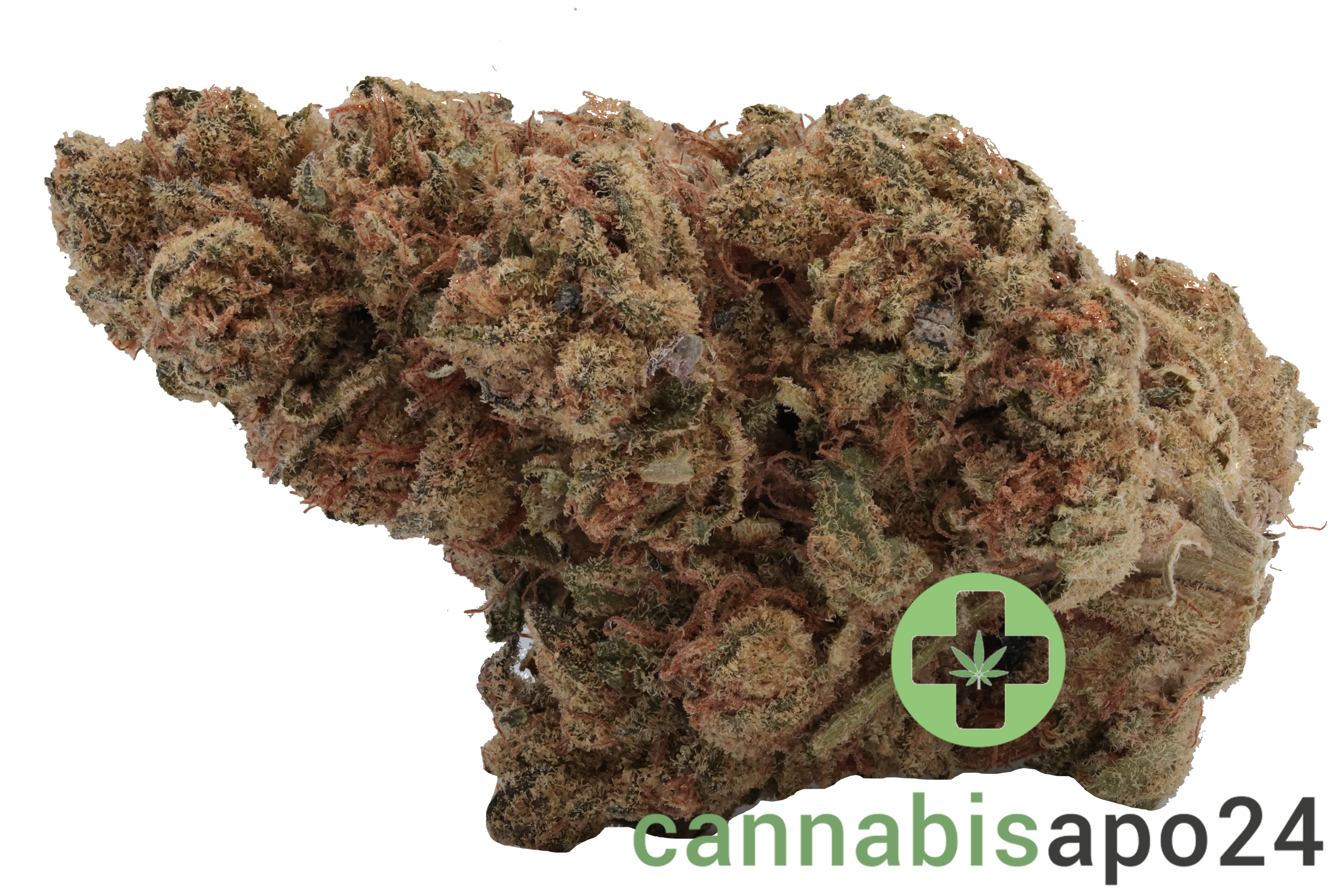 IMC TB THC 24 Tropicana Banana