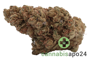 IMC TB THC 24 Tropicana Banana