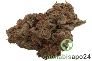 IMC THC25 OG Cheese