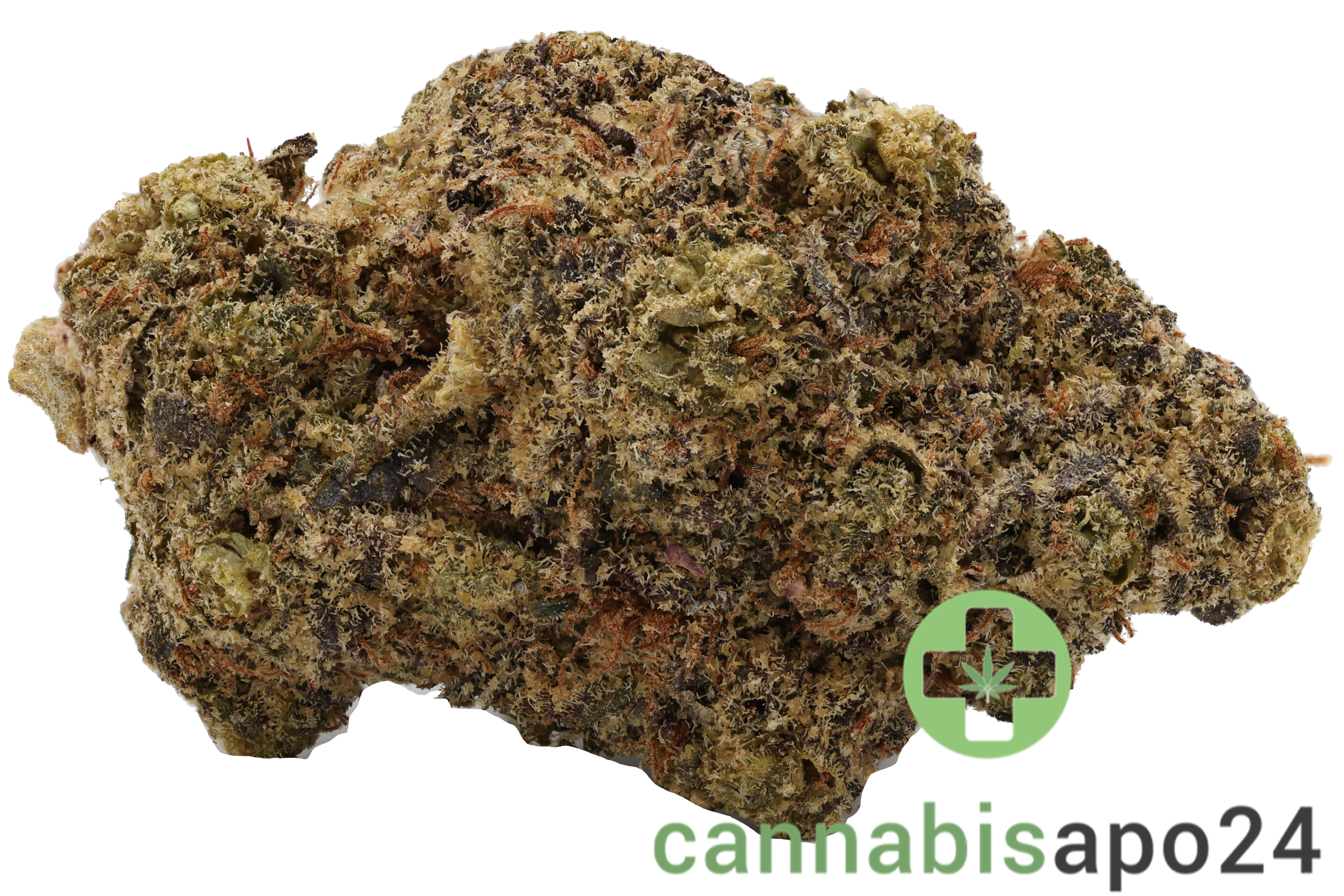 LOT 420 OC