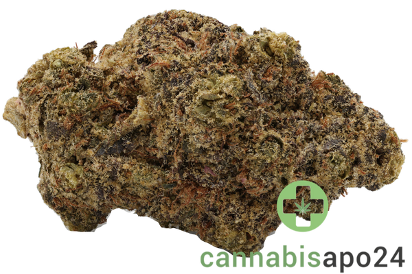 LOT 420 OC