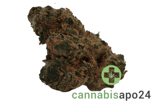 Lit 29/1 MKU Master Kush
