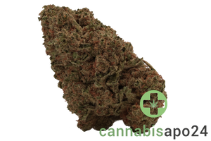 madrecan 24/1 GDY Granddaddy OG