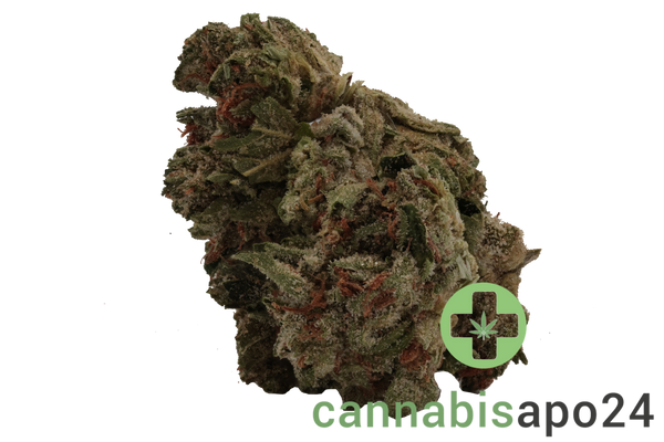 madrecan 24/1 SKY Skywalker