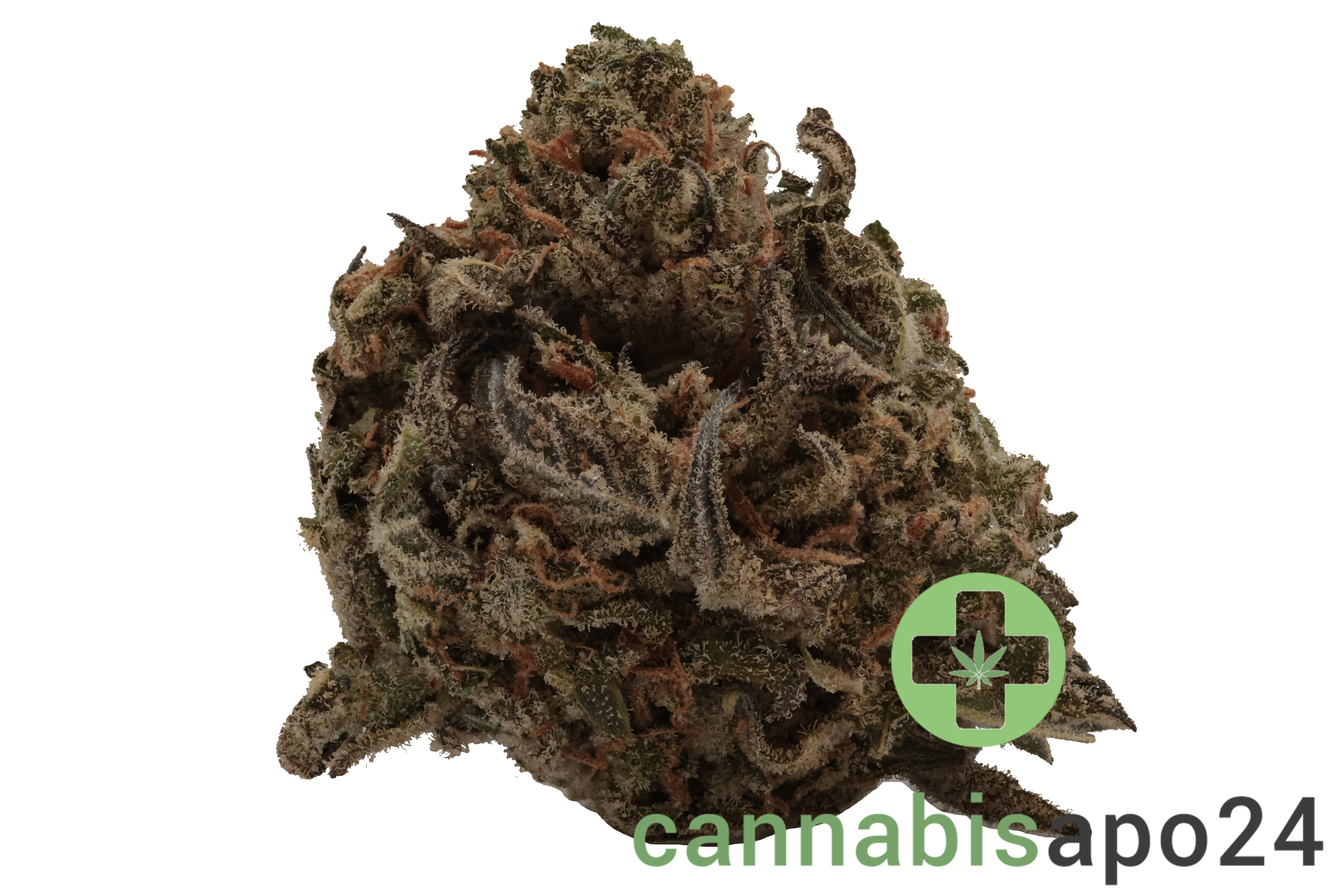 Materia GH 27/1 Grape Haze