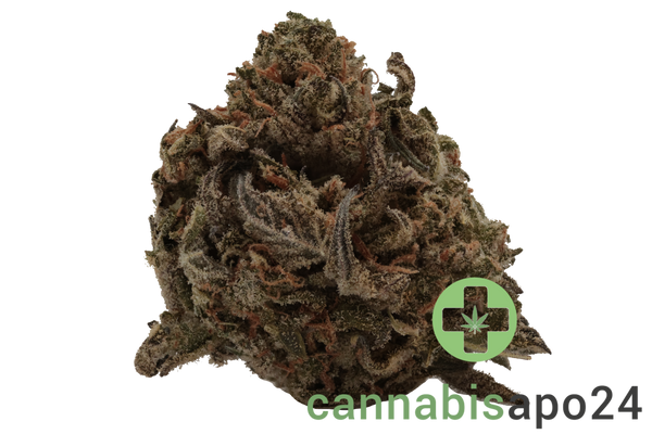 Materia GH 27/1 Grape Haze