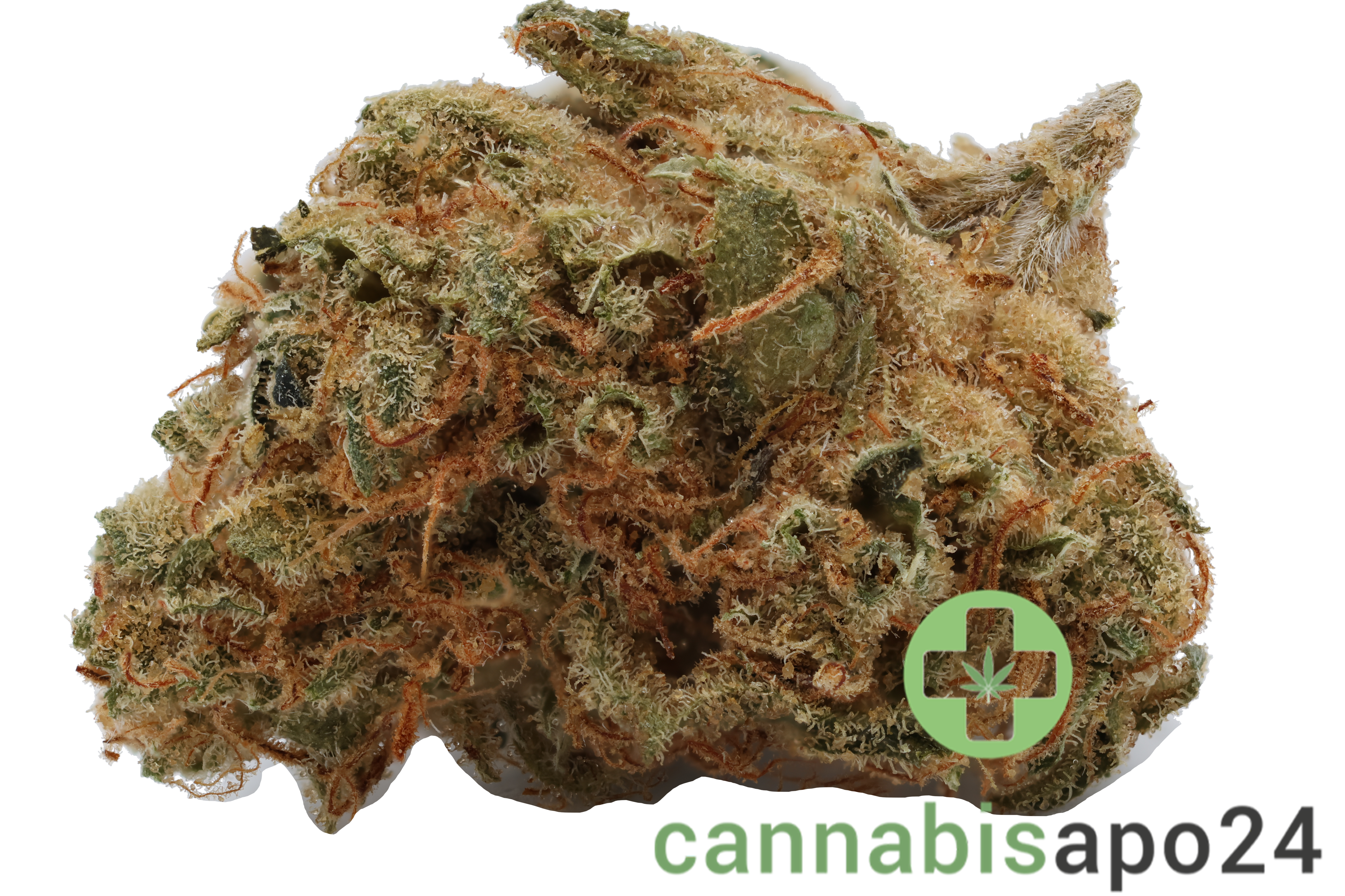 mediprocan Smaragd 22/1