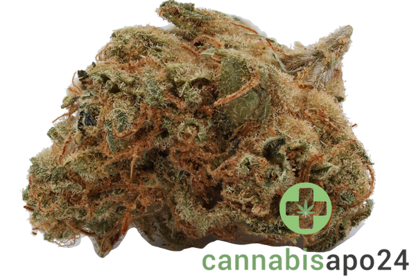 mediprocan Smaragd 22/1