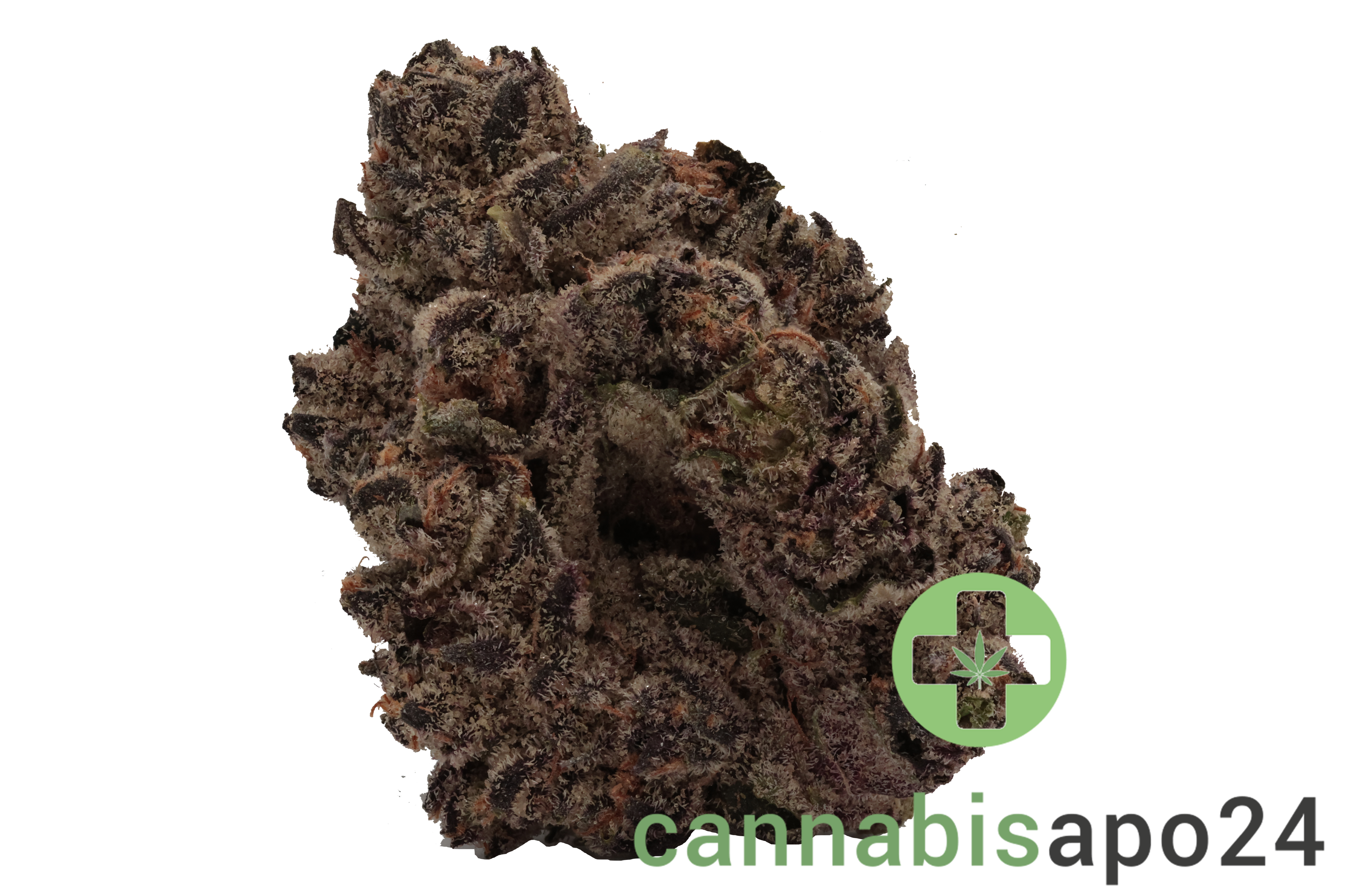 MV RBP Rainbow Pie