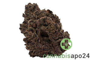 MV RBP Rainbow Pie