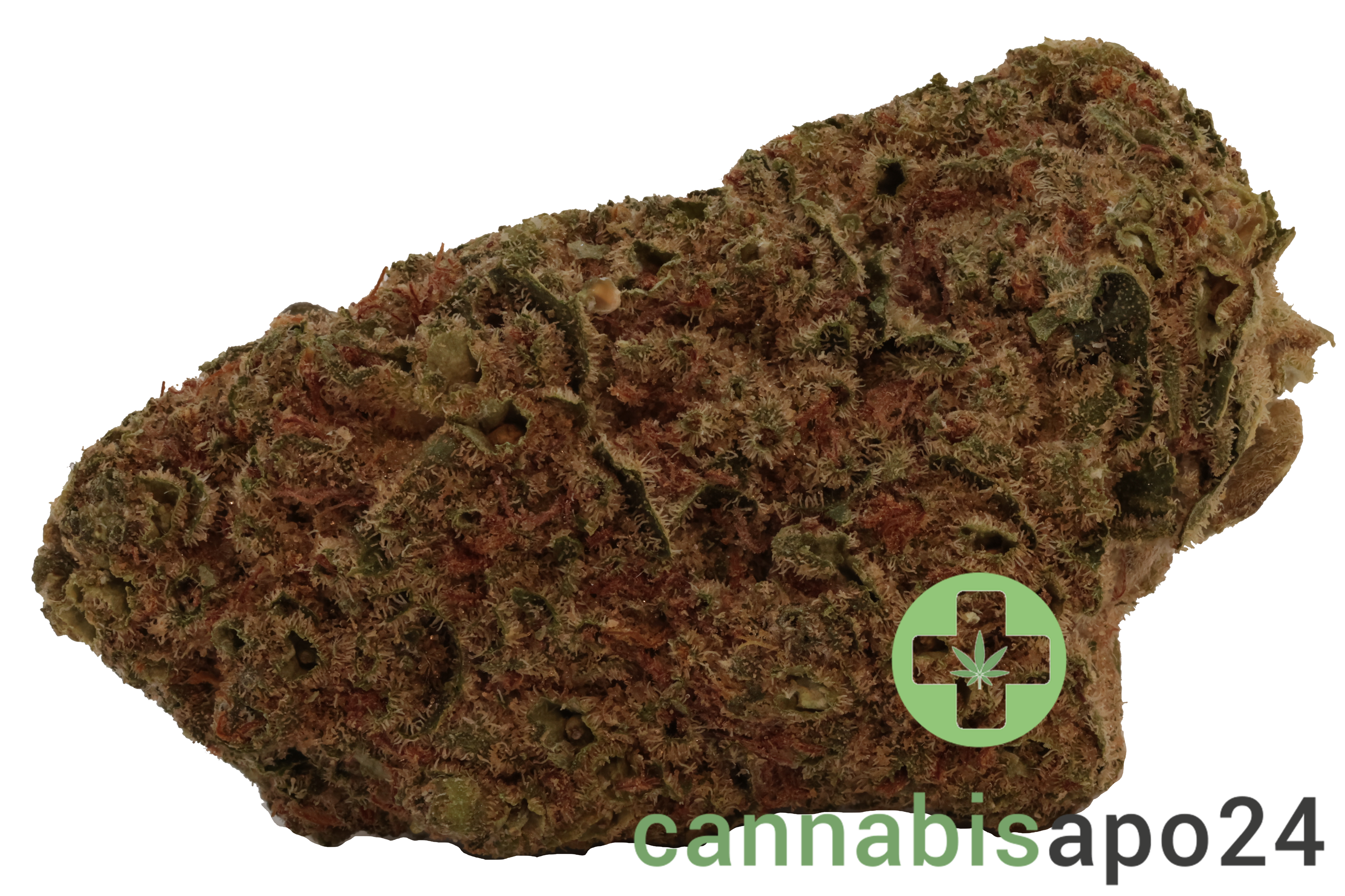 NOC AS 18 Amnesia Kush x Sherbert Sockher