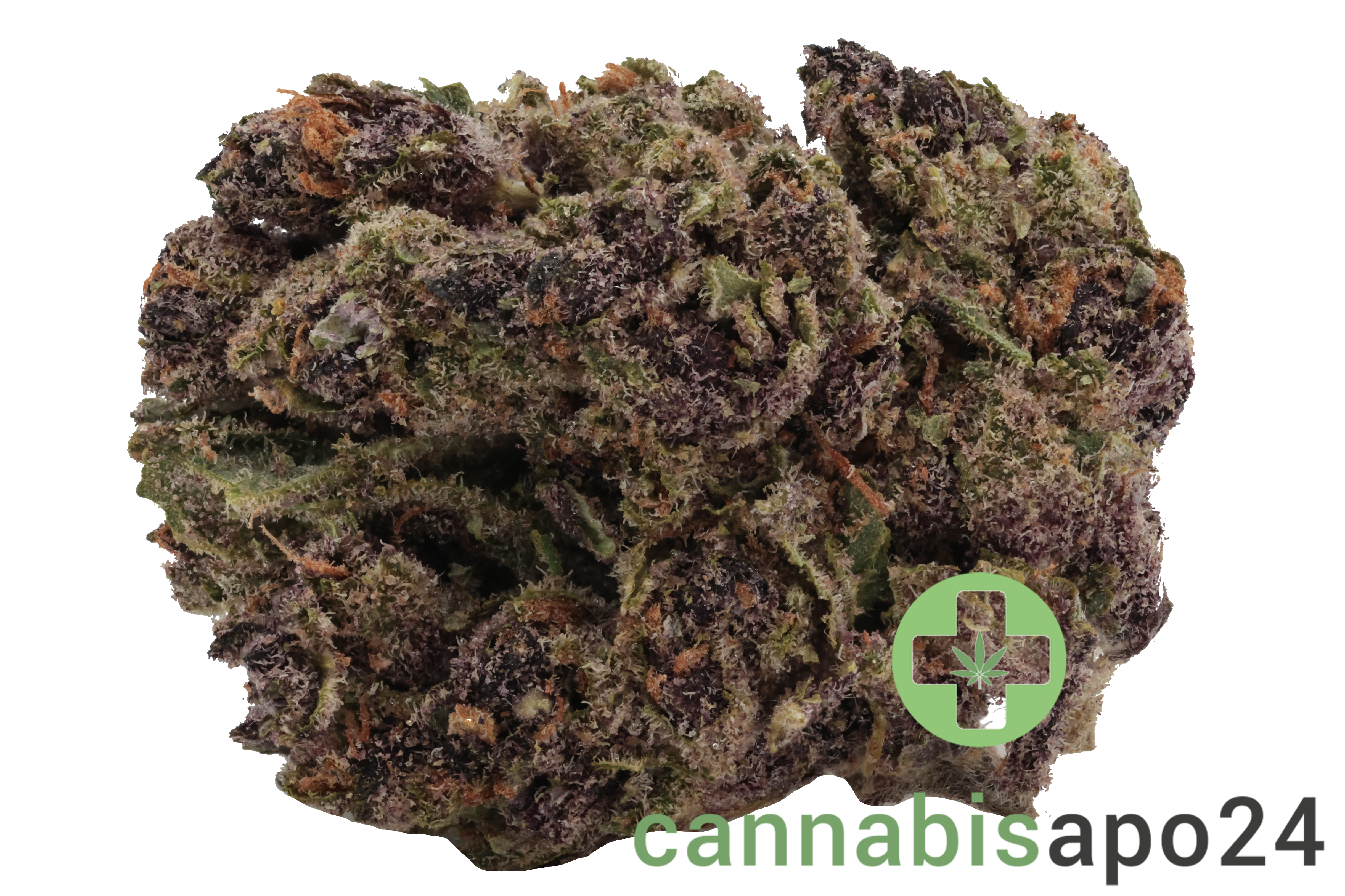 22/1 N!CE TR Tropicana Cookies