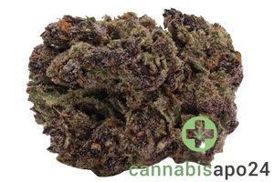 22/1 N!CE TR Tropicana Cookies