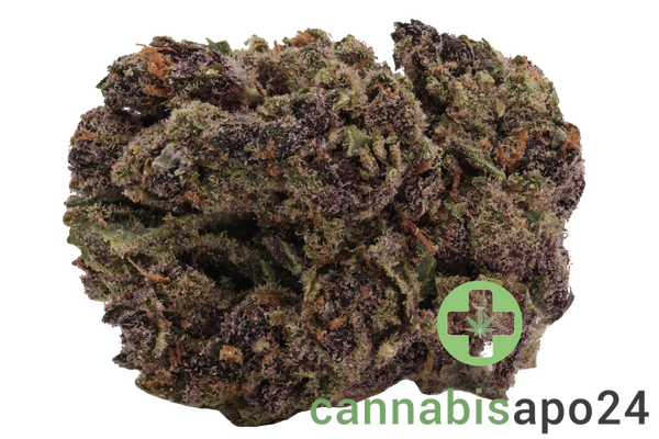 22/1 N!CE TR Tropicana Cookies