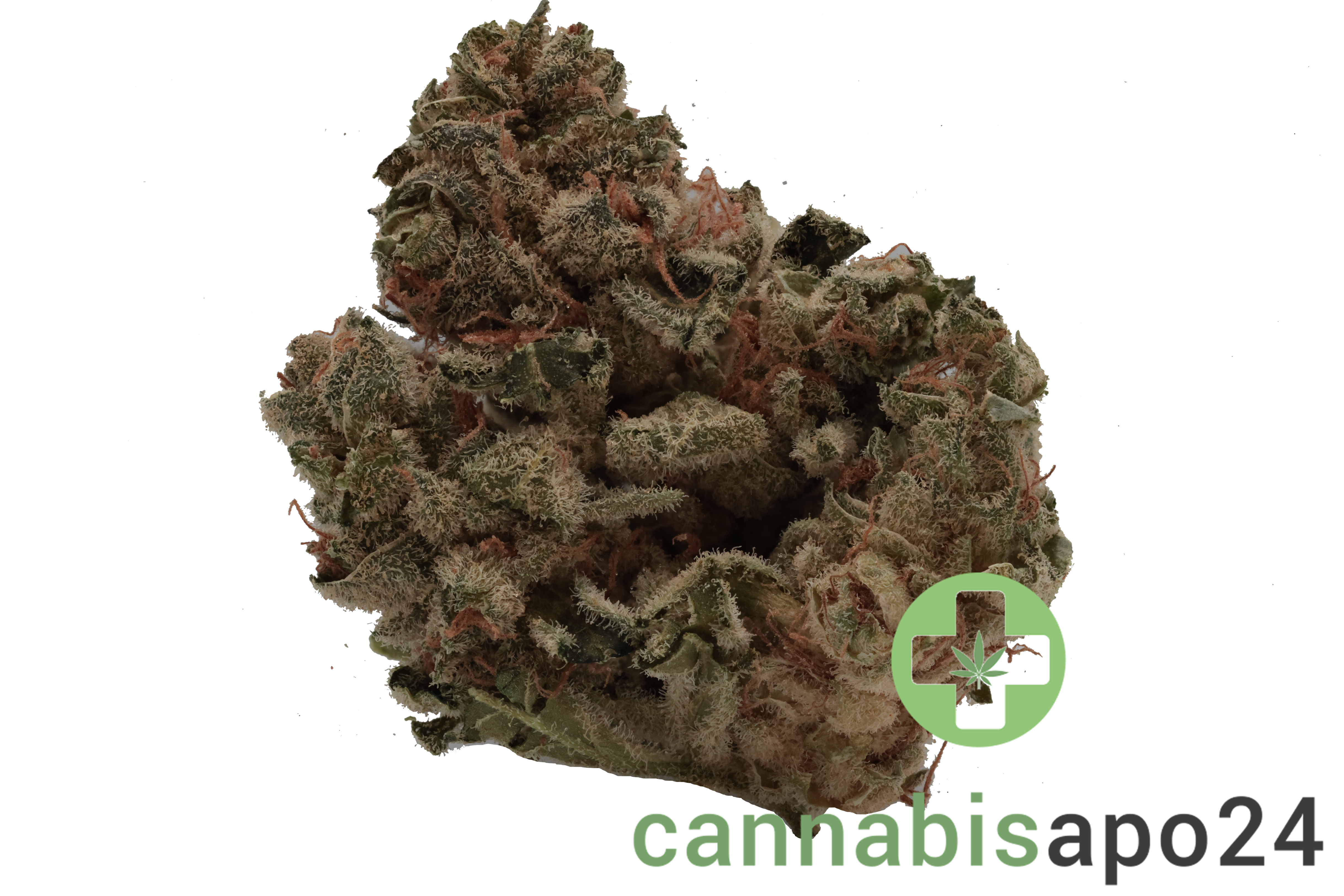 Navcora THC18 Spotlight Porto - Gorilla Glue