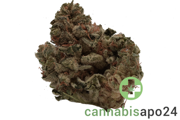 Navcora THC18 Spotlight Porto - Gorilla Glue