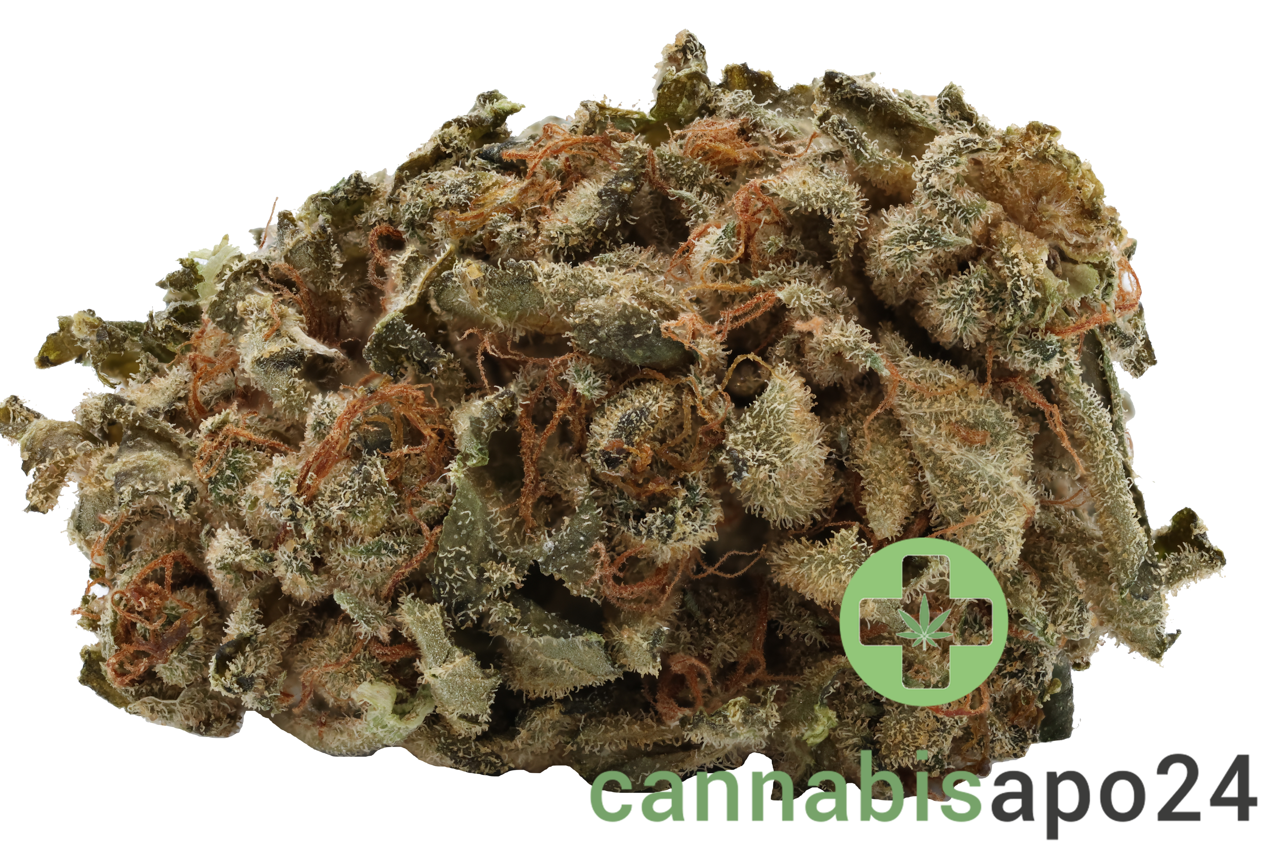 Navcora THC18 Spotlight Porto Headband