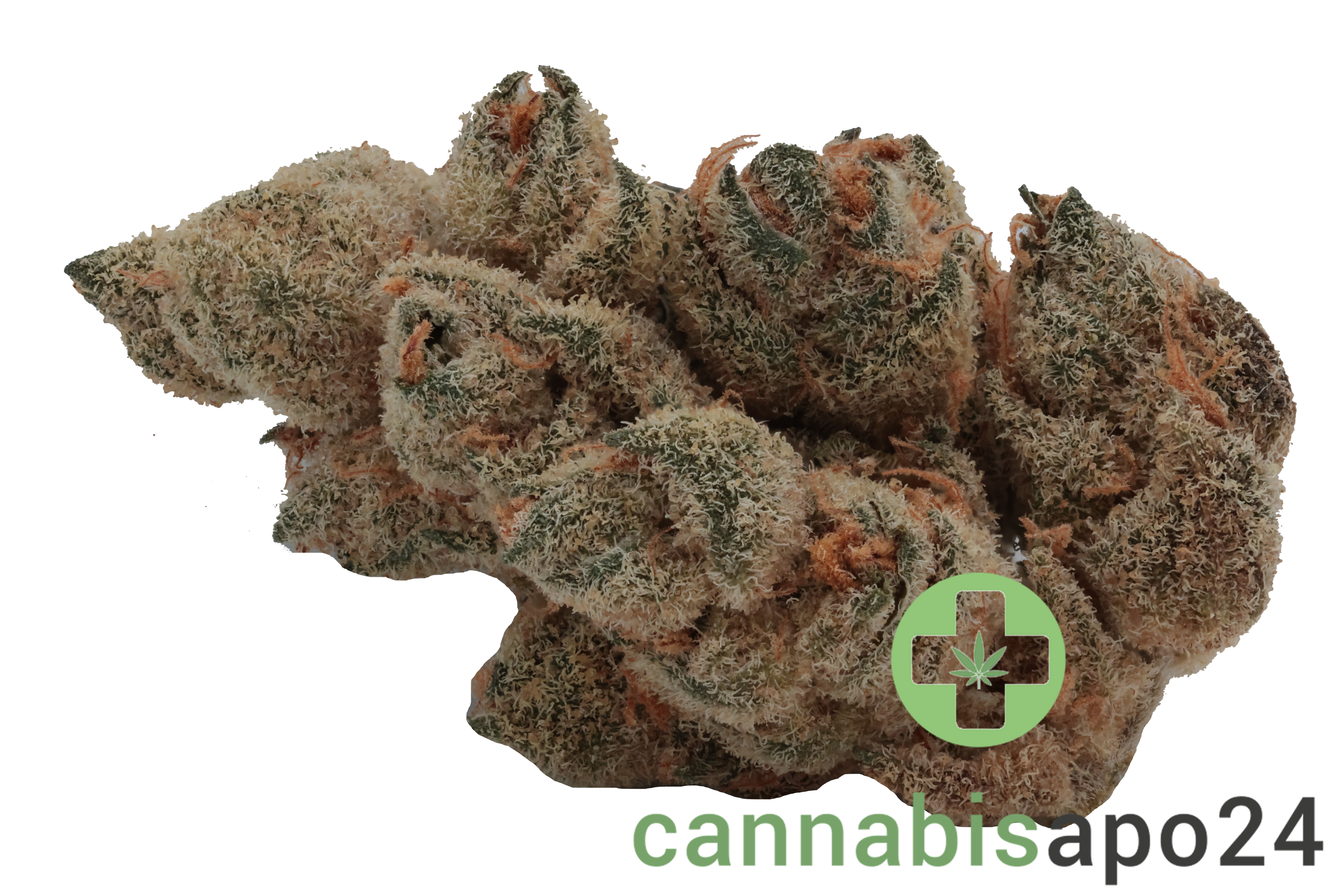 Nedcann JOG 23/01 Joker OG #3