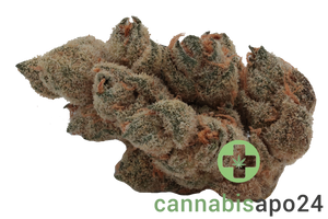 Nedcann JOG 23/01 Joker OG #3