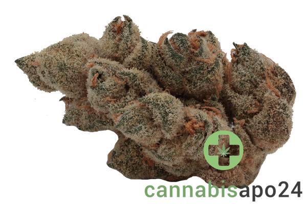 Nedcann JOG 23/01 Joker OG #3