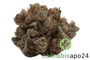 Nimbus easy 22/1 - La Sage