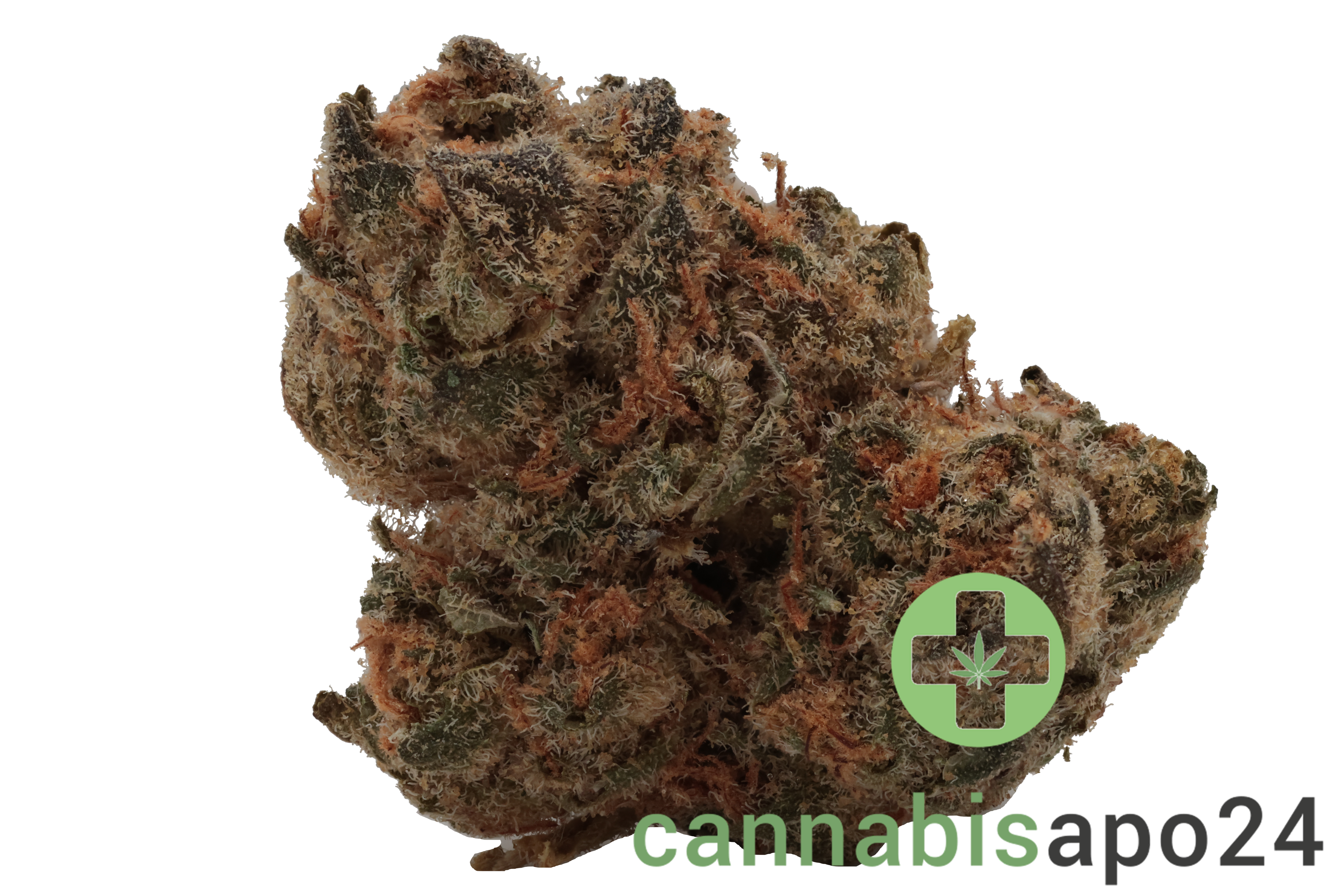Nimbus easy 26/1 - French Cookies