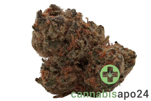 Nimbus easy 26/1 - French Cookies