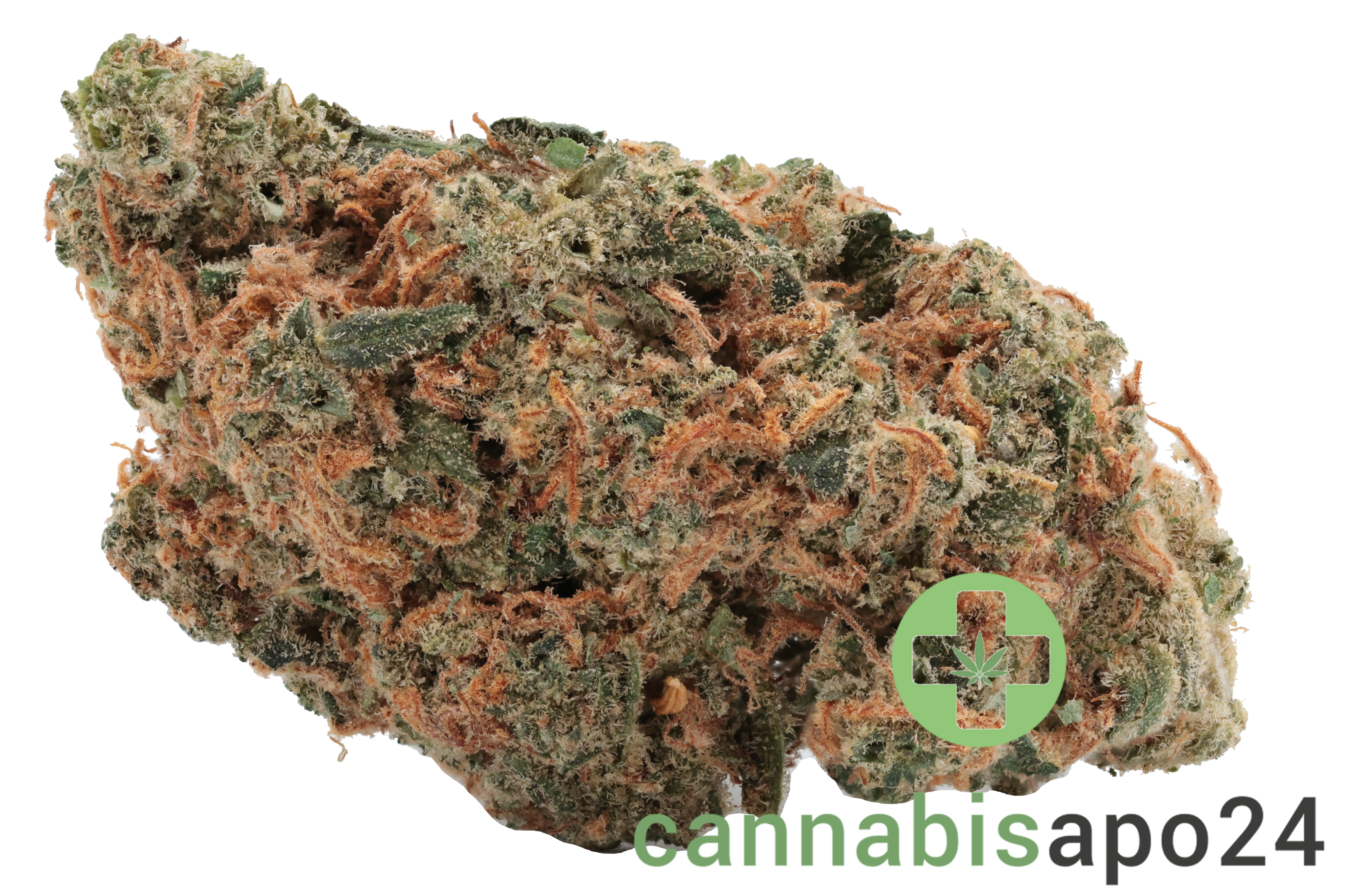 Origine Nature Chem 25/1