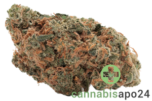 Origine Nature Chem 25/1