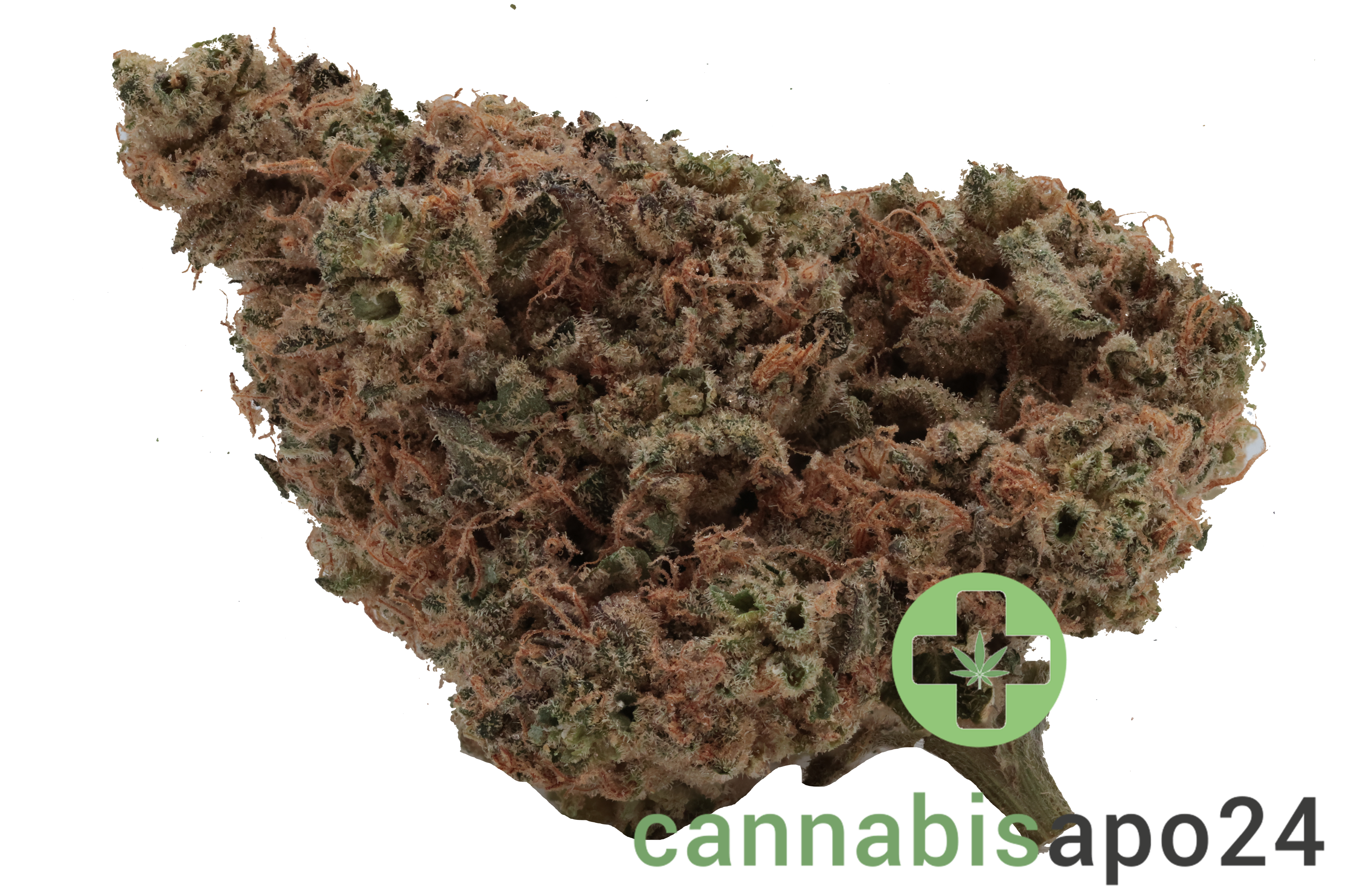 Origine Nature Med 30/1 Medellin