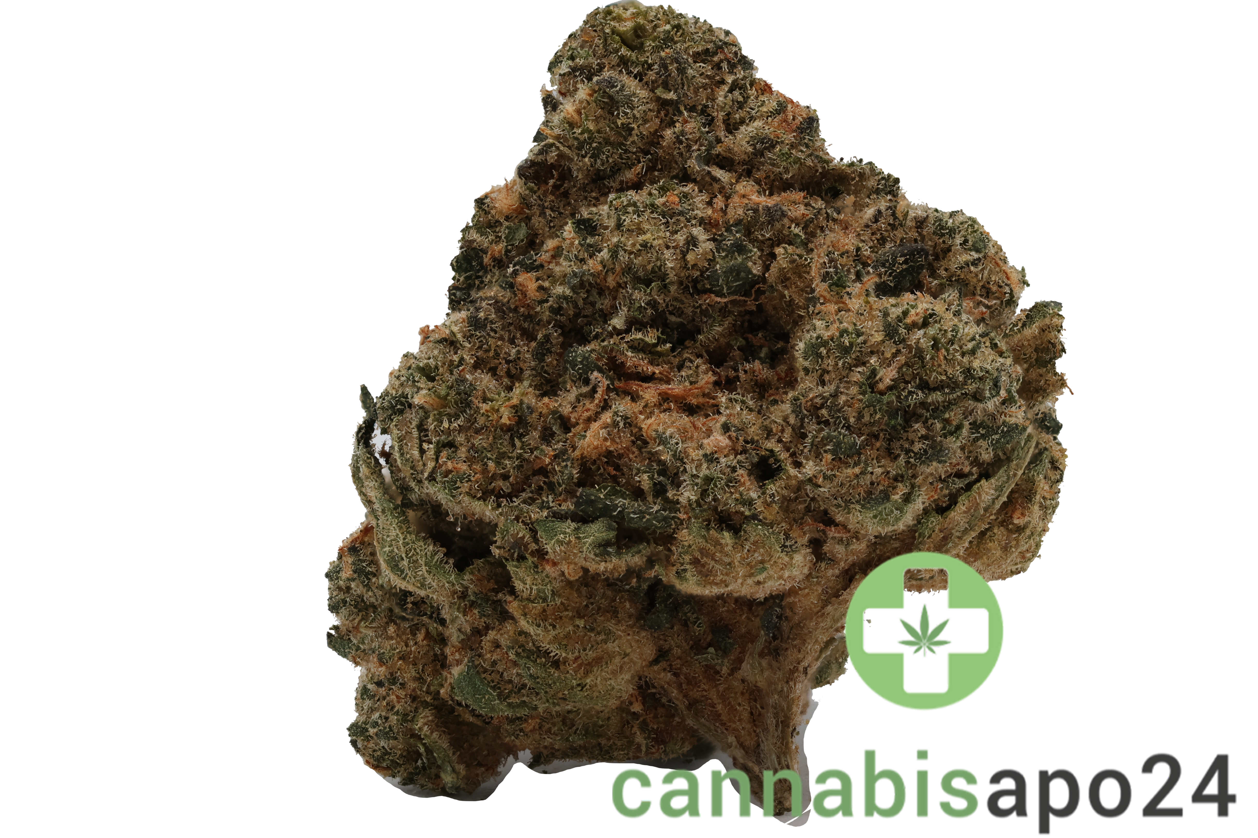 Pedanios 29/1 SRD-CA