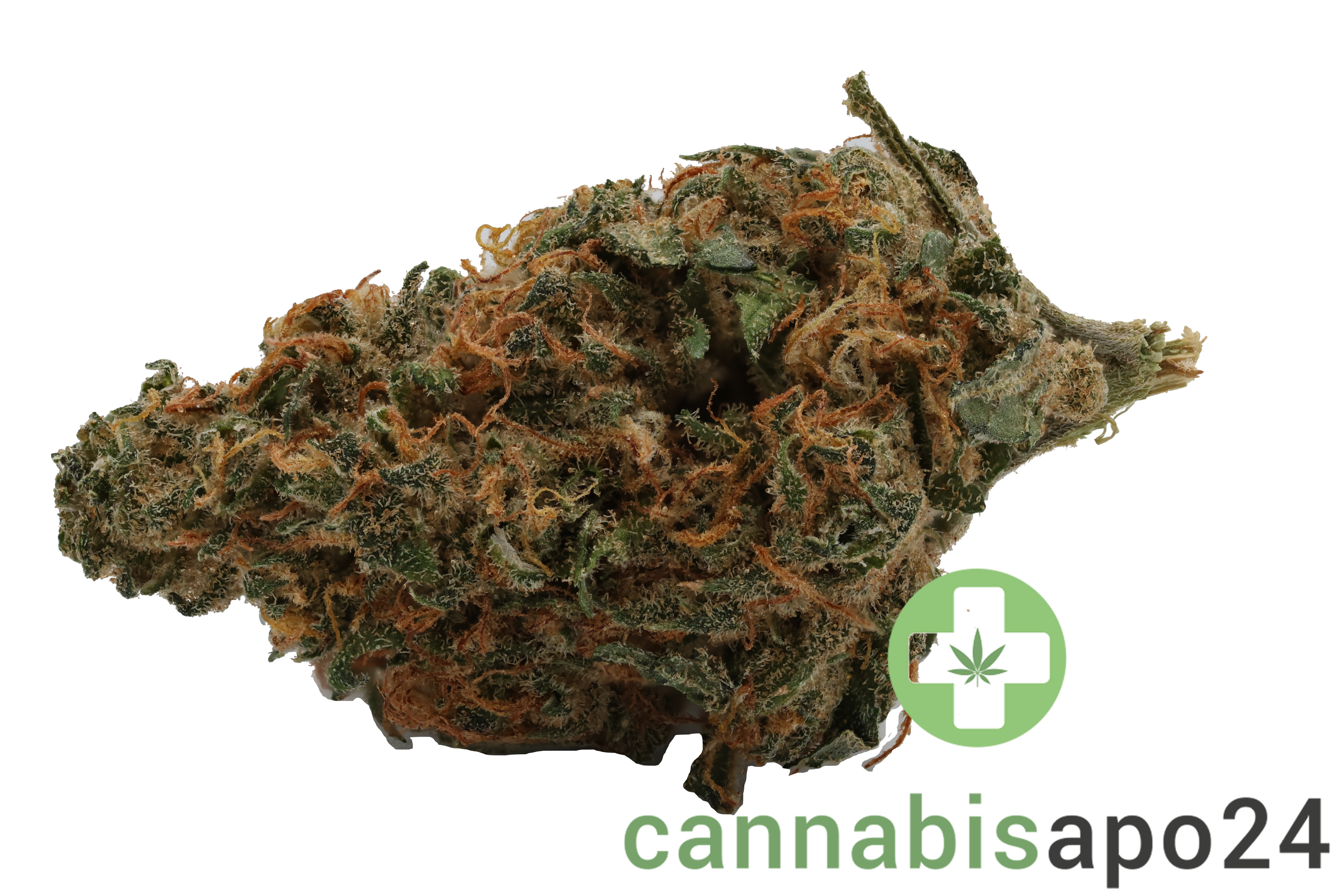 Remexian 22/1 White Widow
