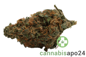 Remexian 22/1 White Widow