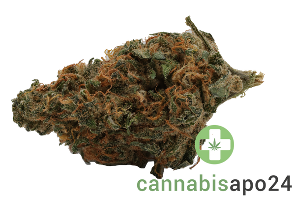 Remexian 22/1 White Widow